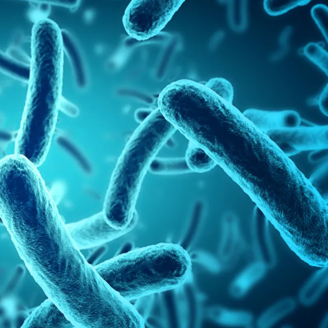 Kill bacteria